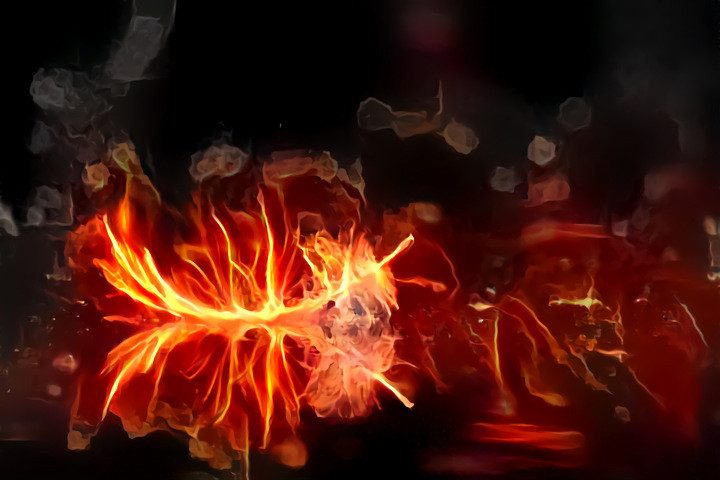 Featured Image